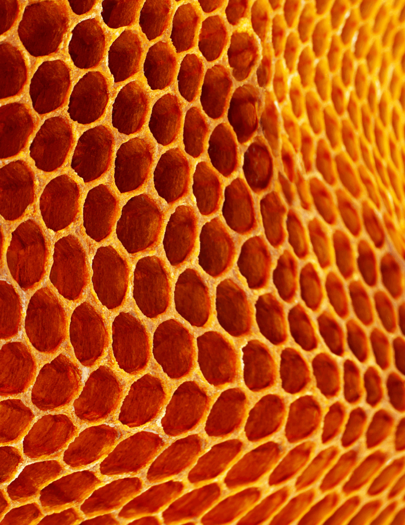 The Rise and Risk of Real Estate’s Comprehensive Marketplace