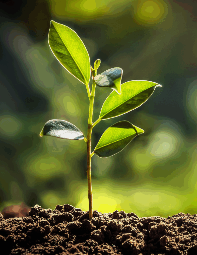 The Integrated Real Estate Experience Leaps Forward