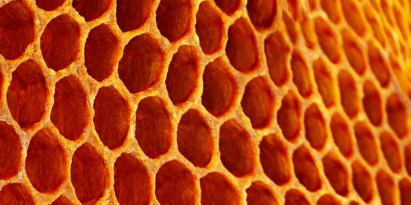 2026 STR Trend 1 Featured Image